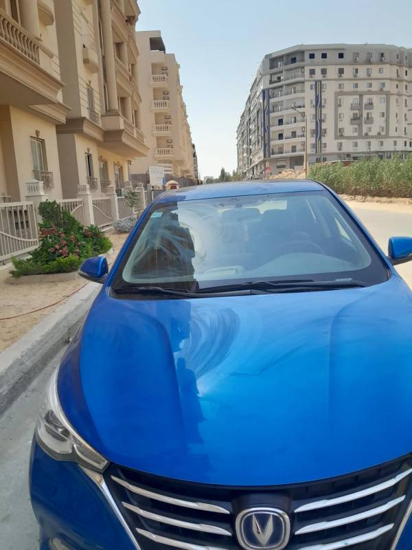 شانجان السفين 2022